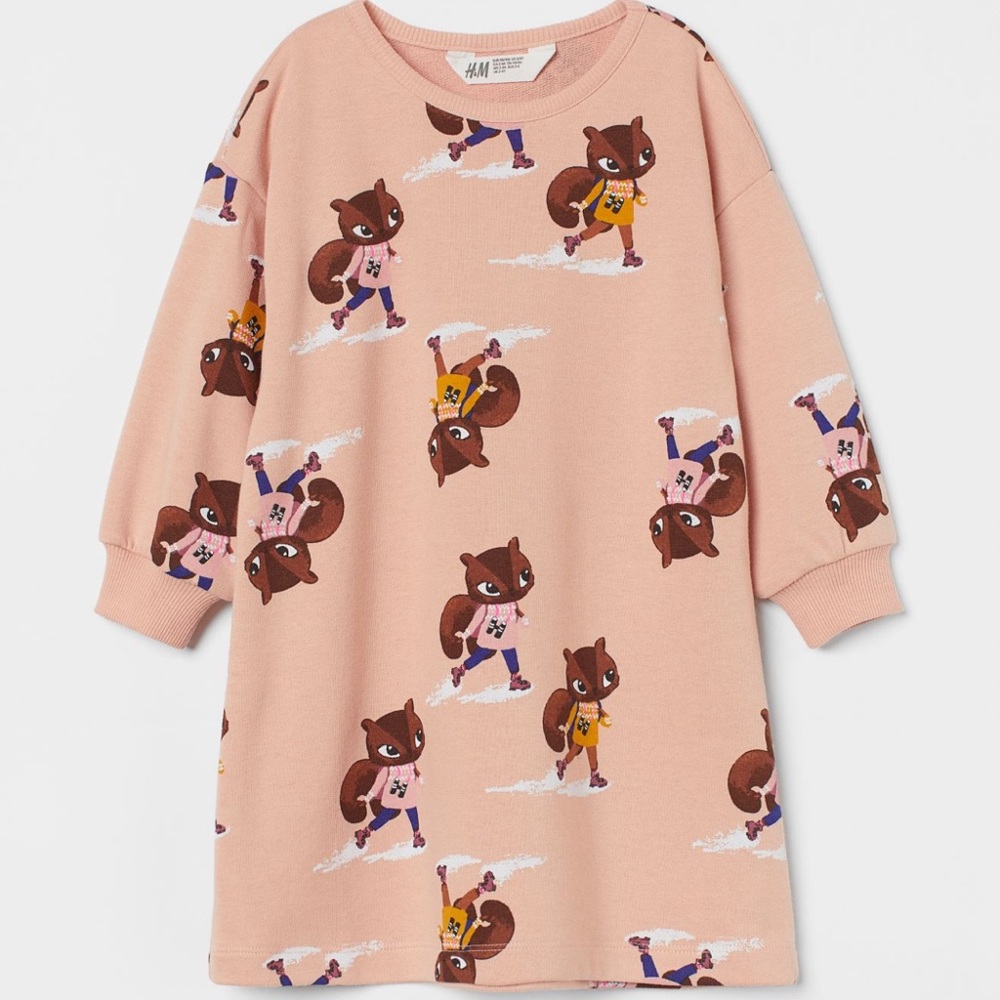 Squirrel sweatshirt dress